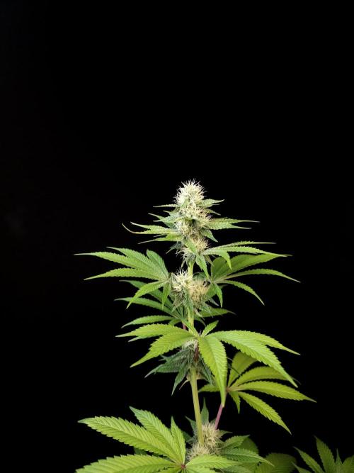 Test 101100  (2). Week 8