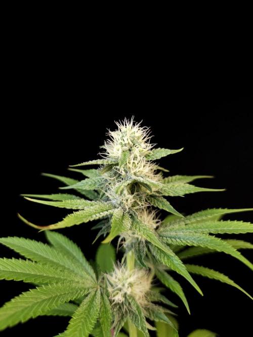 Test 101100  (2). Week 8