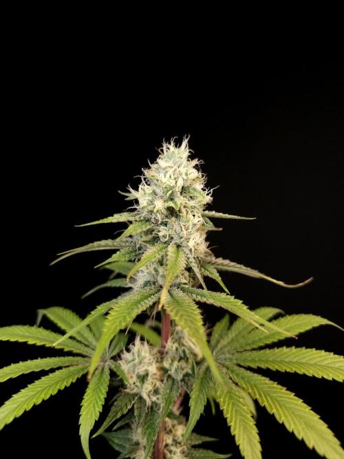 Test 101100  (2). Week 9