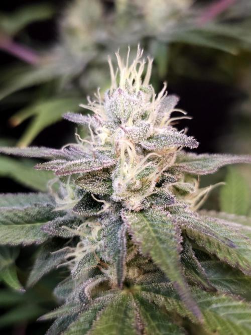 Test 50151  (1). Week 10