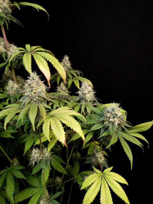 Test 101100  (1). Week 10