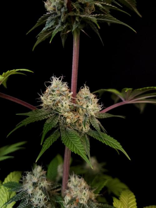 Test 101100  (2). Week 10