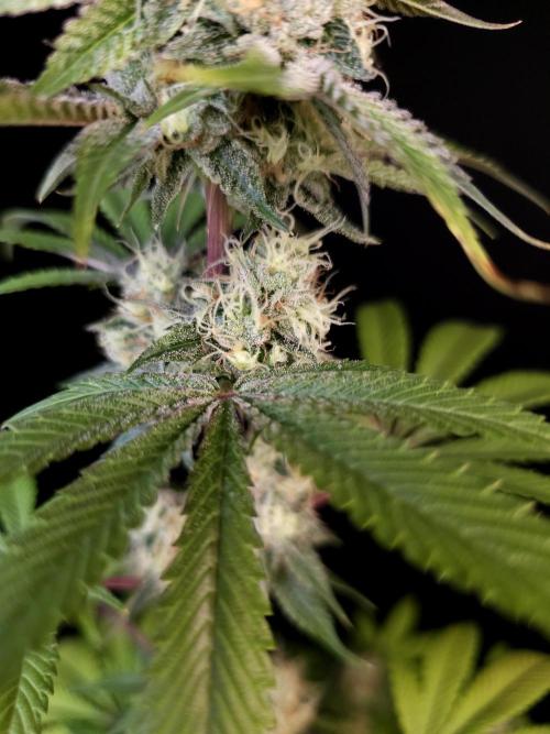 Test 101100  (2). Week 10