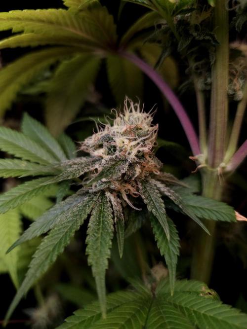 Test 101100  (2). Week 10