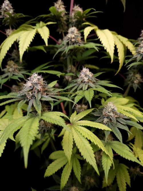 Test 101100  (2). Week 10