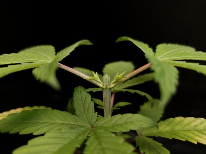 Power plant. Week 3