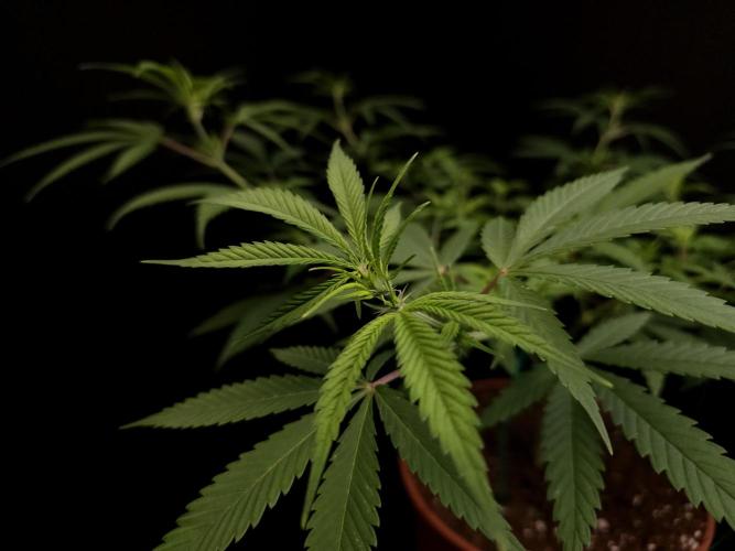 Power plant. Week 8