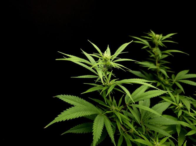 Power plant. Week 10