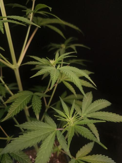 Power plant 2. Week 1