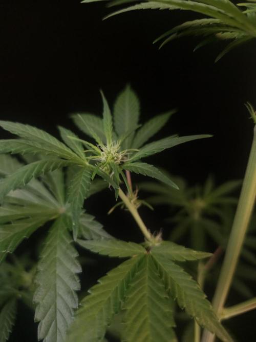 Power plant 2. Week 1