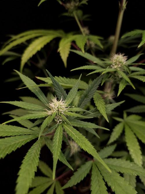 Power plant 2. Week 2
