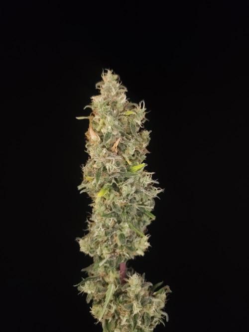 Power plant 2. Week 8
