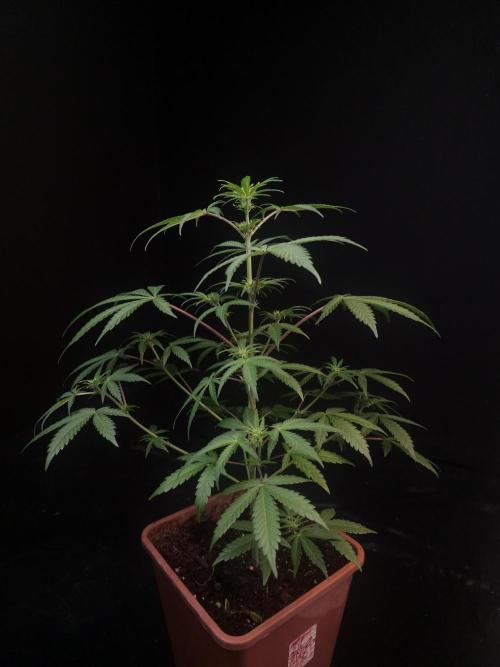 92 test 3. Week 1