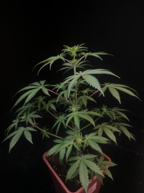 92 test 3. Week 1