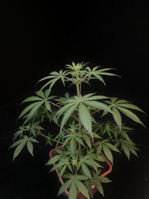 92 test 3. Week 1