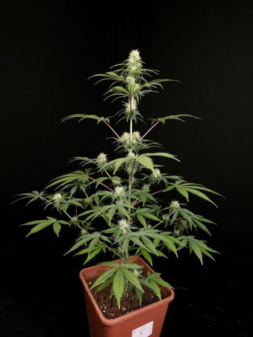 92 test 3. Week 3