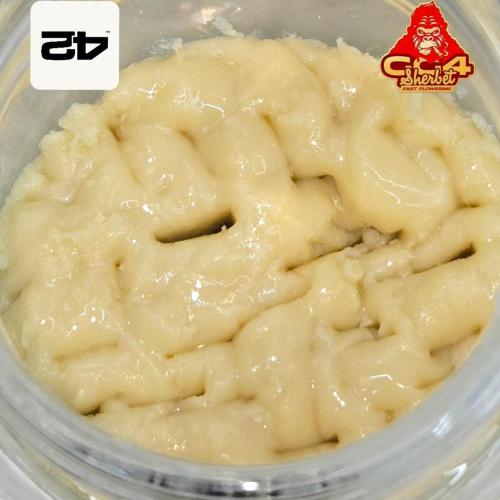 GG4/Sherbet Fast Flowering. Week 15