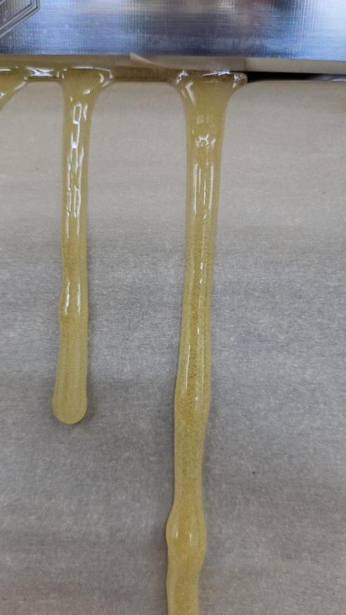 GG4/Sherbet Fast Flowering. Week 15