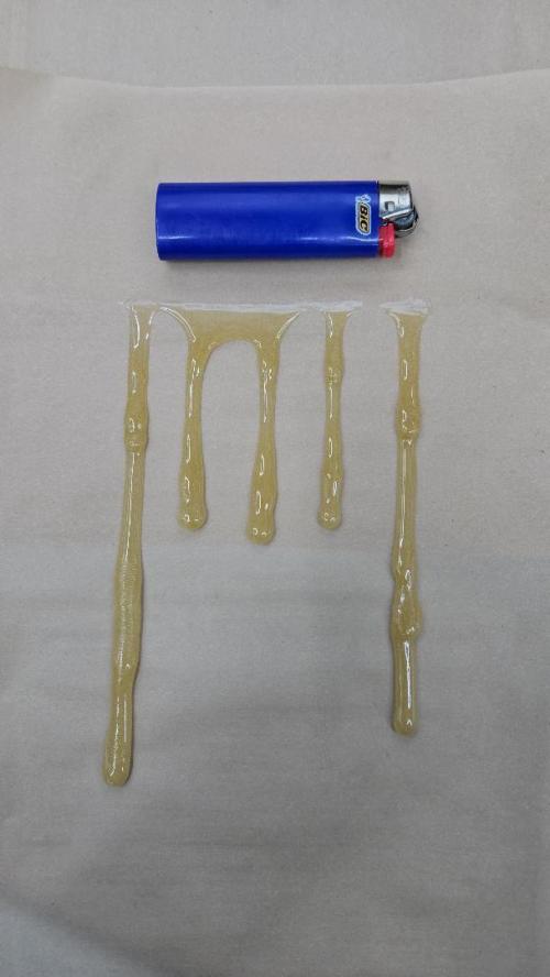 GG4/Sherbet Fast Flowering. Week 15