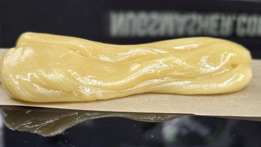 GG4/Sherbet Fast Flowering. Week 15