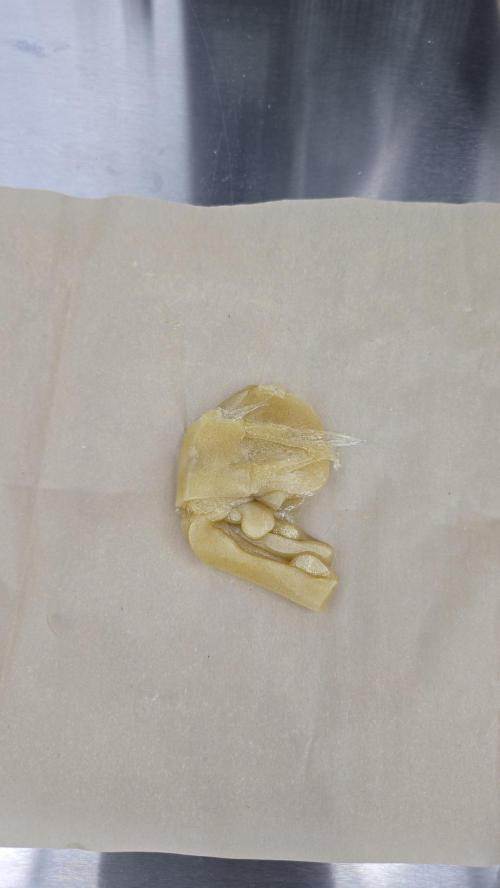 GG4/Sherbet Fast Flowering. Week 15