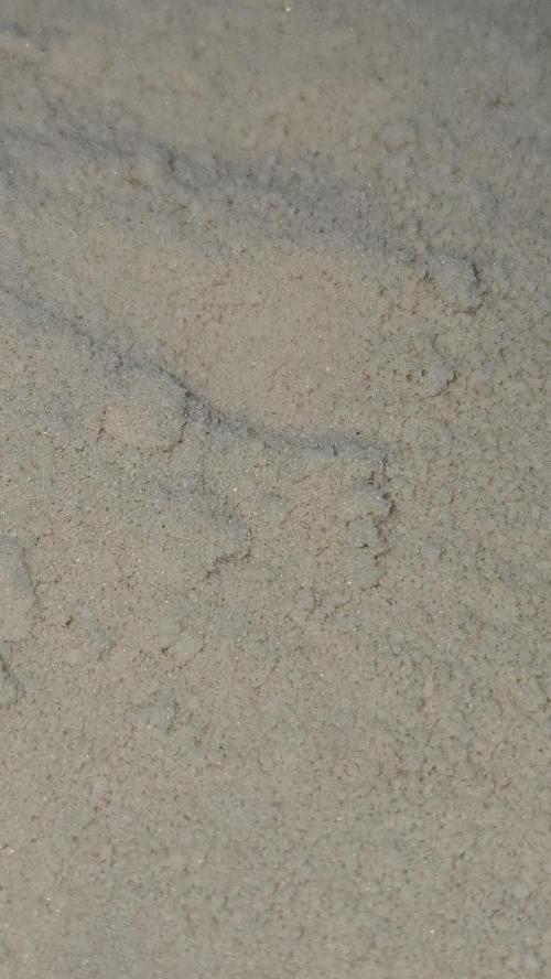 GorillaMelon. Week 16