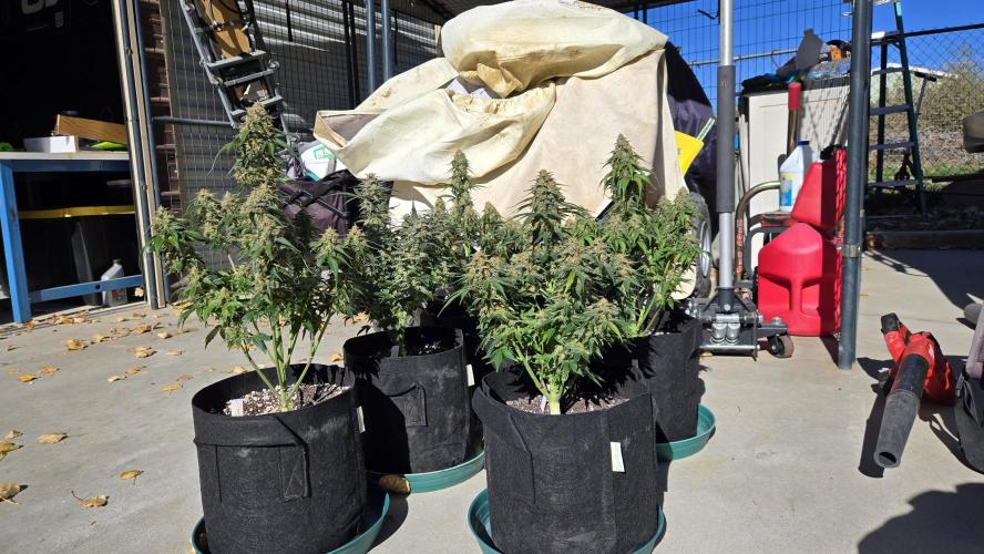 SuperBoofAuto. Week 8