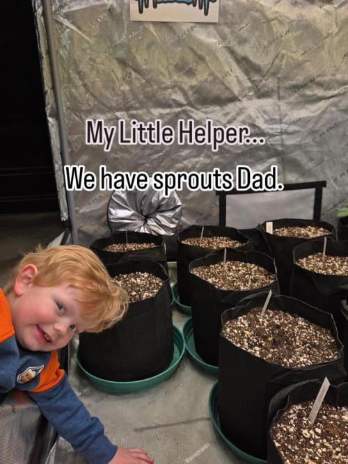 FrostBangerAuto. Week 0