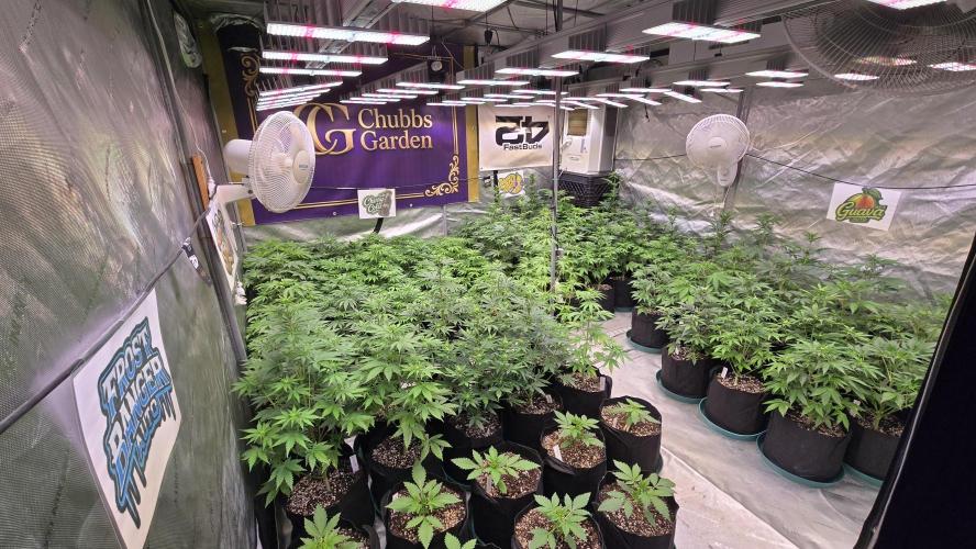 AppleStrudelAuto. Week 4