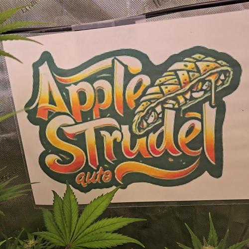 AppleStrudelAuto