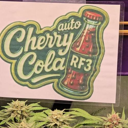 CherryColaAuto (RF3)