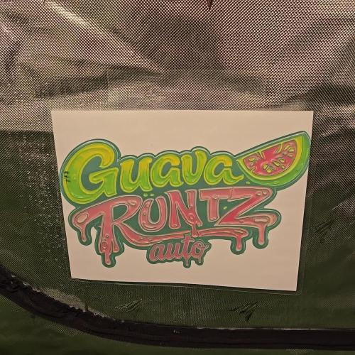 GuavaRuntzAuto