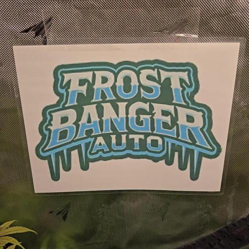 FrostBangerAuto