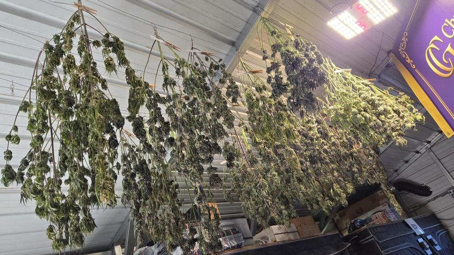 AppleStrudelAuto. Week 10