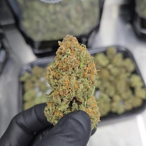 CherryColaAuto (RF3)