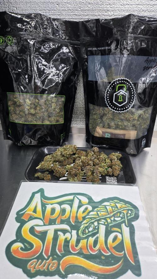 AppleStrudelAuto. Week 10