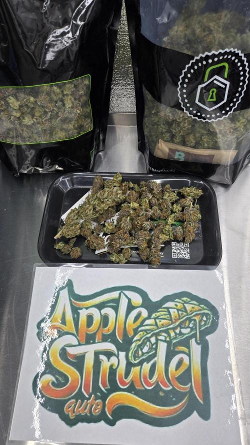 AppleStrudelAuto. Week 10