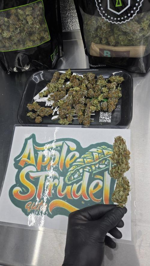 AppleStrudelAuto. Week 10
