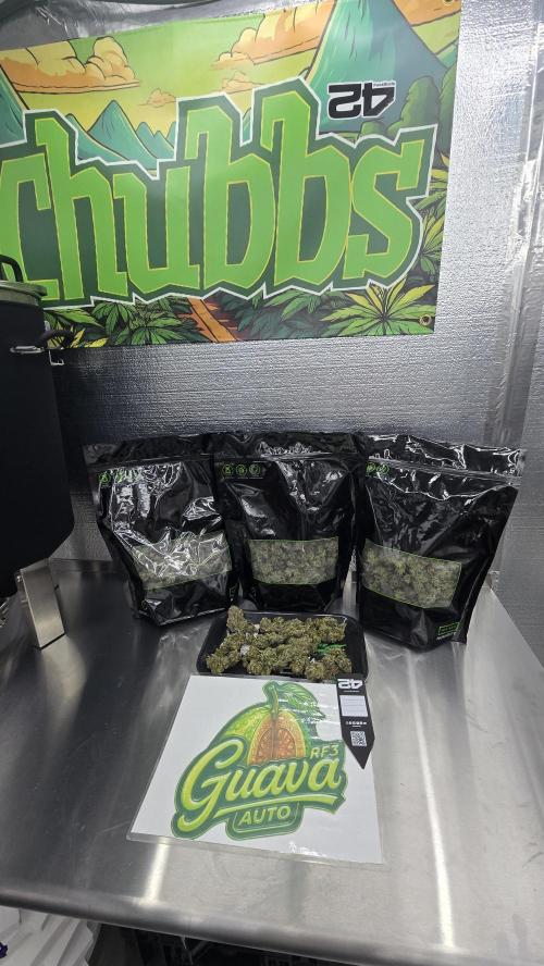 GuavaAuto(RF3). Week 10
