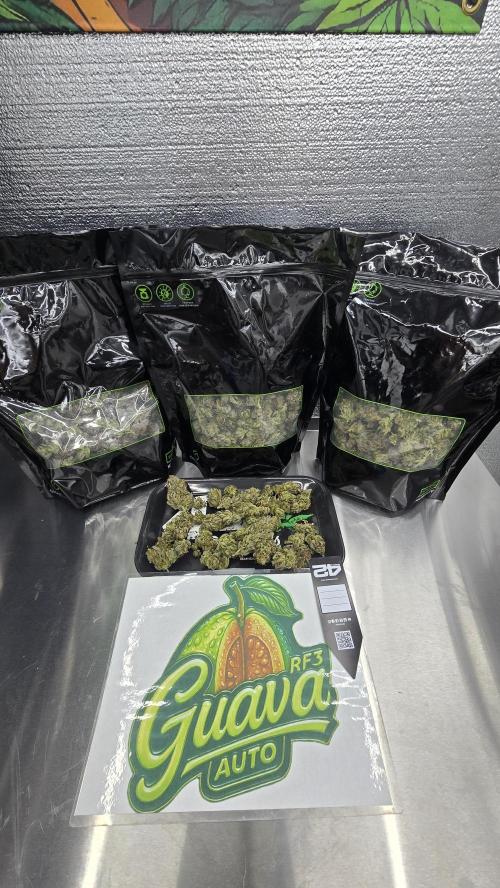 GuavaAuto(RF3). Week 10