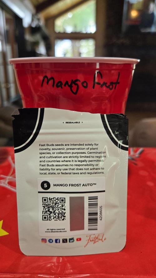 MangoFrostAuto. Week 0