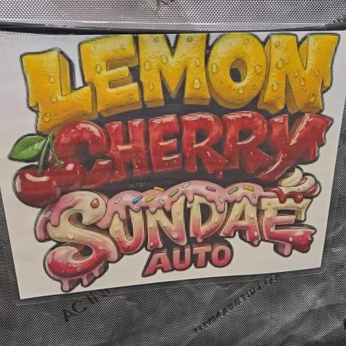LemonCherrySundaeAuto
