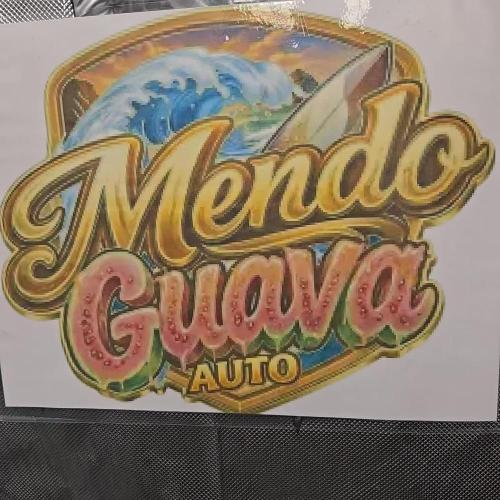 MendoGuavaAuto