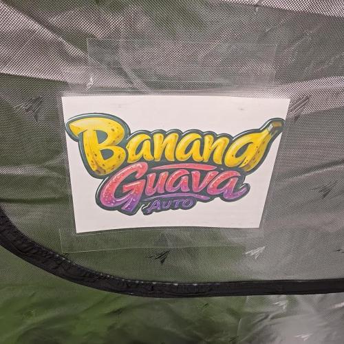 BananaGuavaAuto