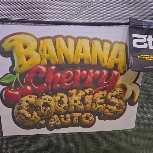 BananaCherryCookiesAuto
