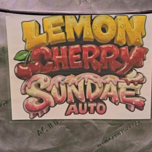LemonCherrySundaeAuto