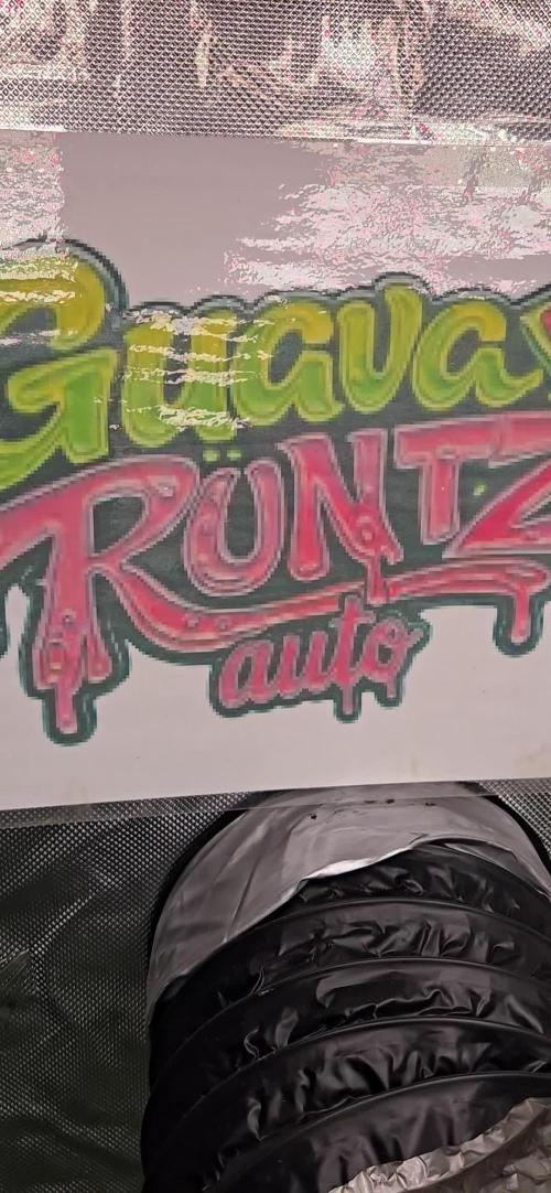 GuavaRuntzAuto