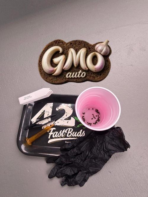 GMO Auto. Week 0