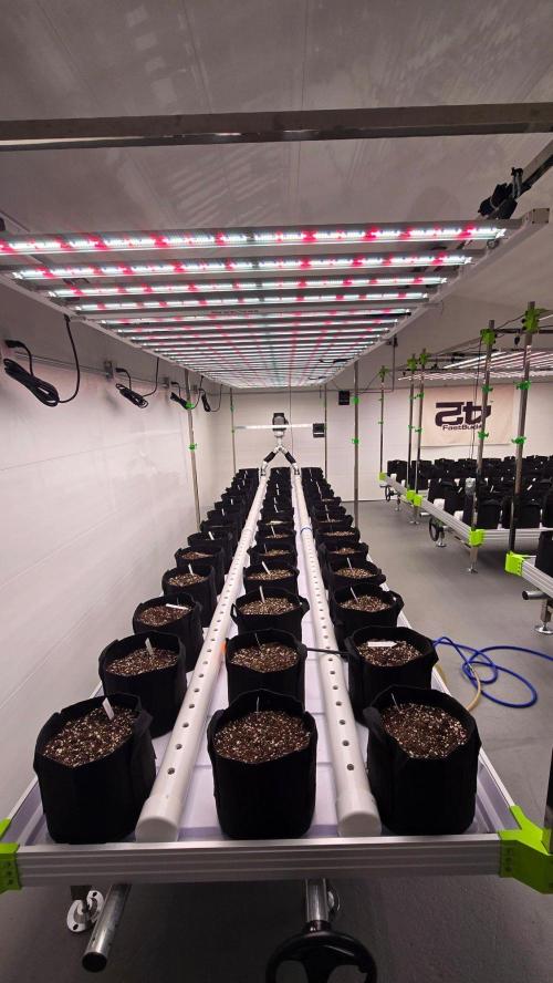 GMO Auto. Week 0