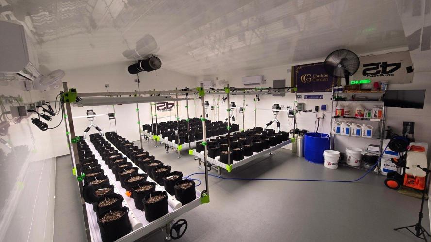 GMO Auto. Week 0
